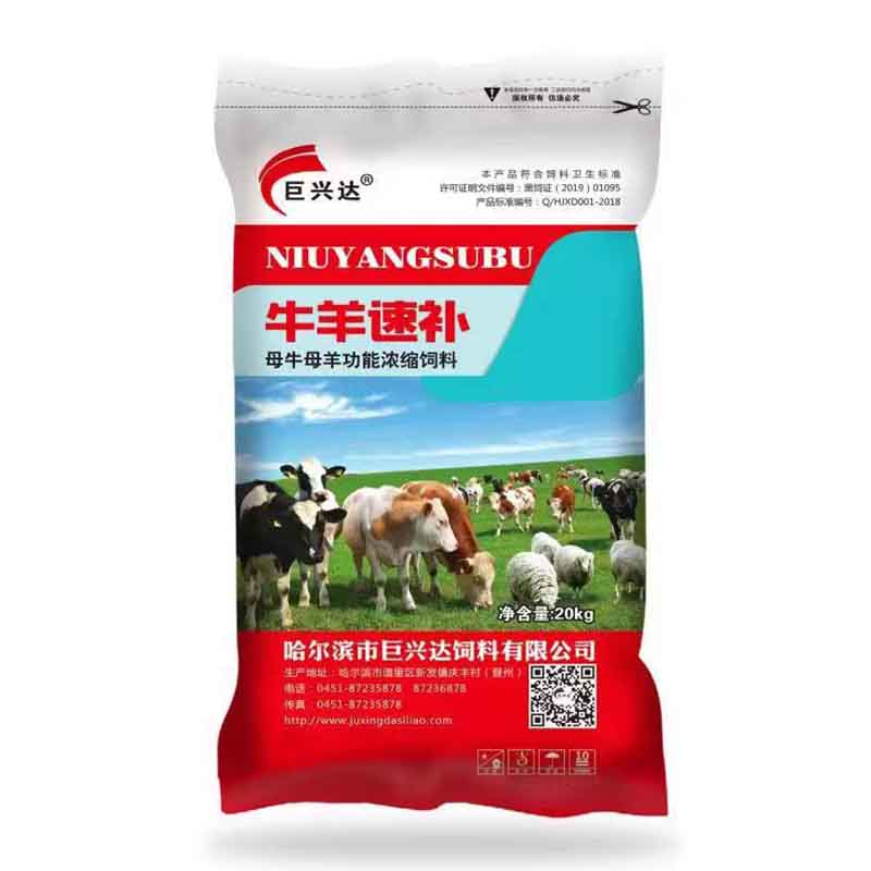 牛羊速補